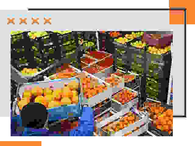 Перевозка скоропортящихся продуктов в белебее